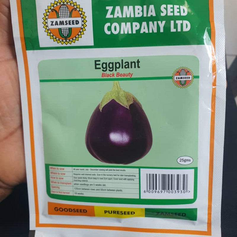 EGG PLANT 25G